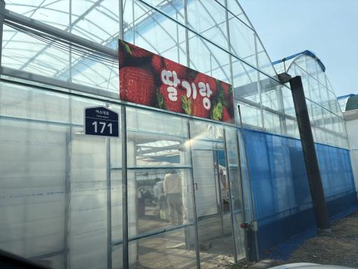 딸기랑체험농장