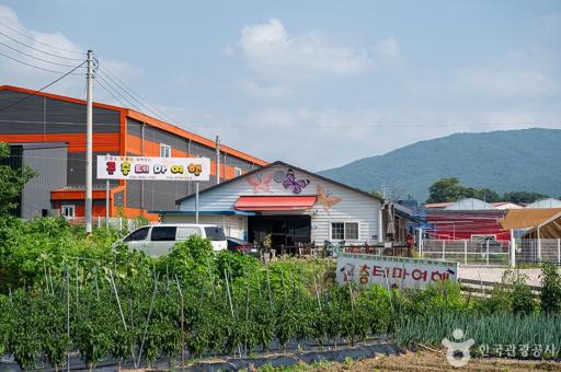 곤충테마여행