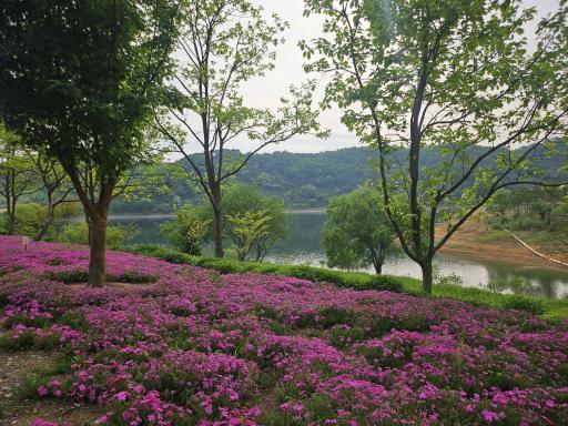28. 붕어섬