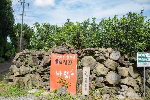귤의정원바령