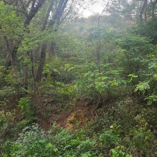 215. 도덕산인공폭포출렁다리