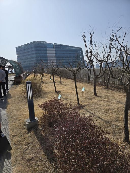 정부세종청사옥상정원