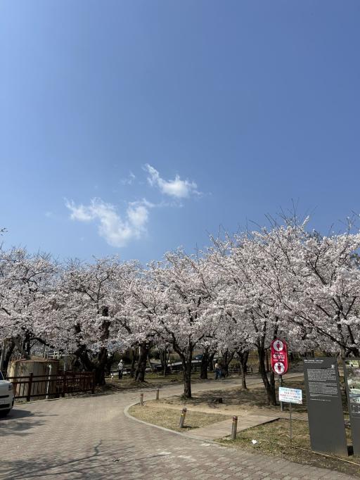 동해구상수시설