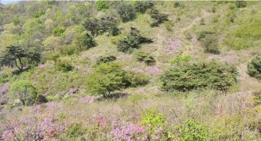 대둔산도립공원
