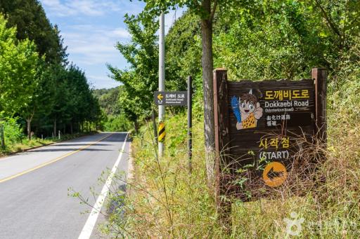 도깨비도로