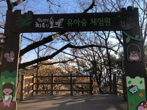 창원편백치유의숲유아숲체험원