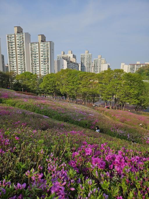 철쭉동산