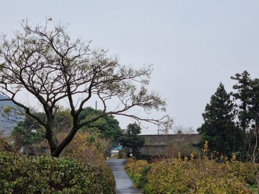 동광리수국길