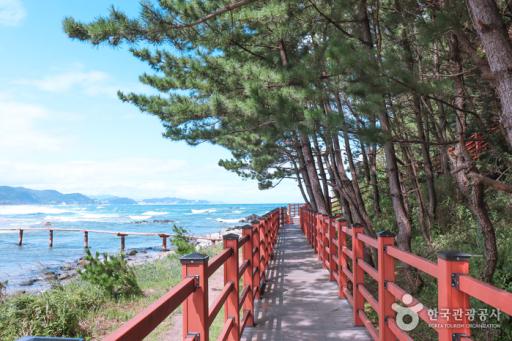 덕봉산해안생태탐방로