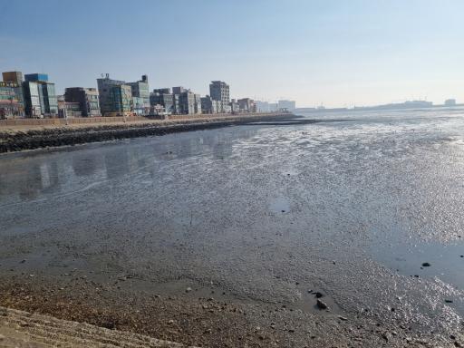16. 오이도어촌체험휴양마을