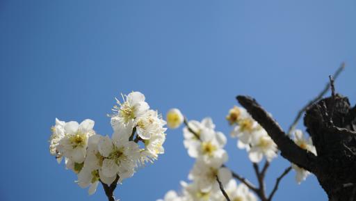 양산호수공원