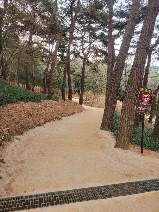 영광물무산행복숲 질퍽질퍽맨발황톳길