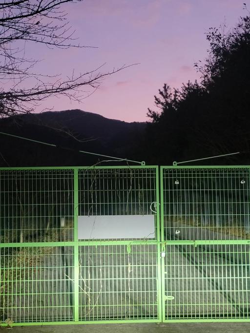 외나로도편백숲