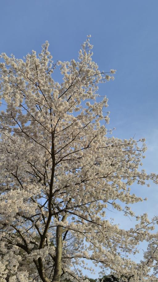 희리산해송자연휴양림 산림복합체험센터