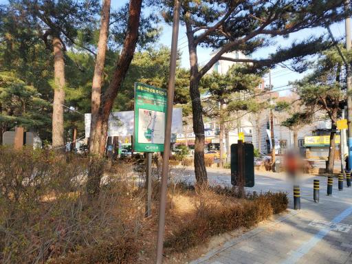 솔밭공원