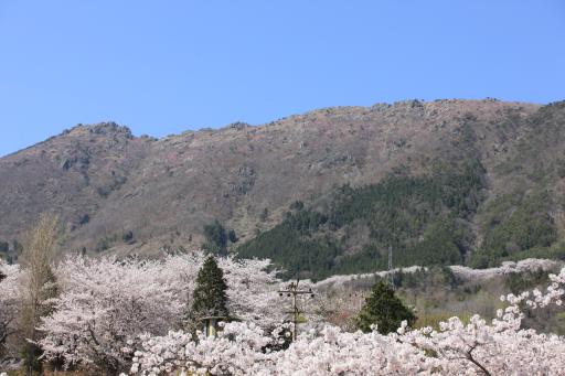 장복산조각공원