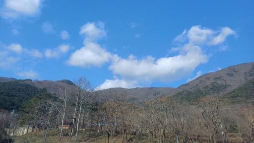 196. 만연산치유의숲