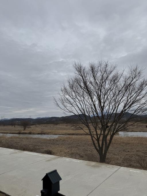 담양하천습지보호구역조류관찰대
