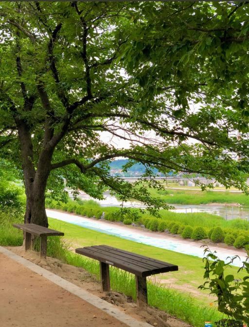 서천강변강수욕장