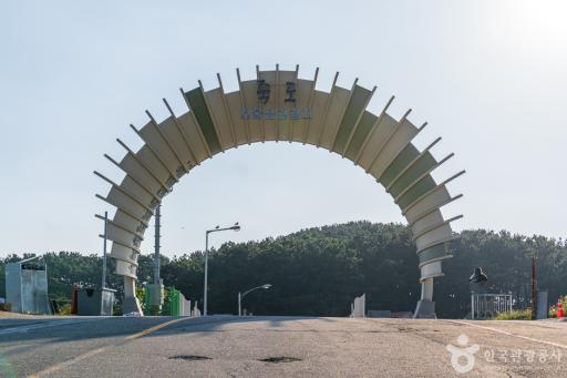 31. 죽도관광지