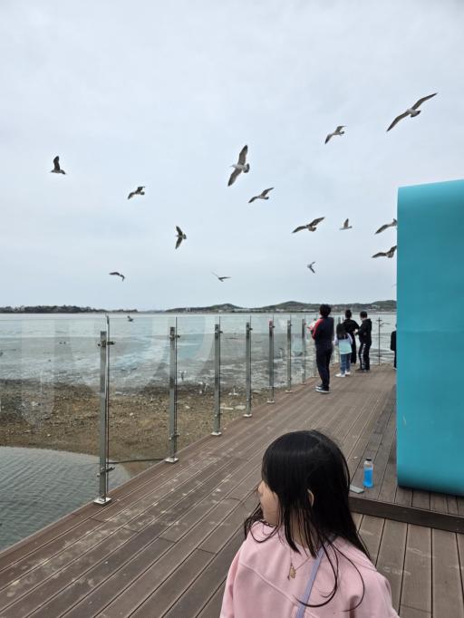 백미리어촌체험휴양마을