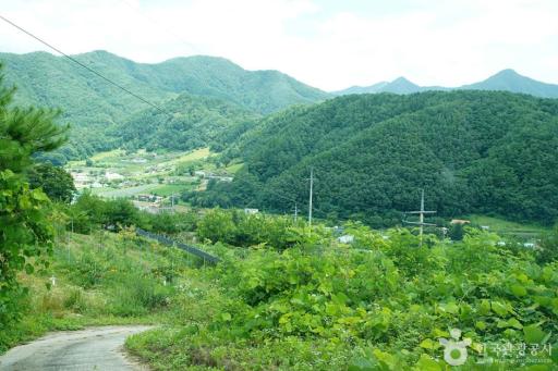 기우산