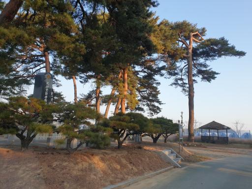 울진왕피천공원