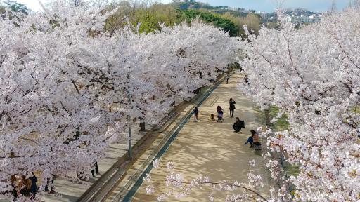 서울숲
