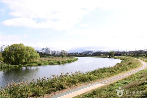 팔복동천변