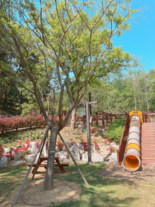 입화산유아숲체험원