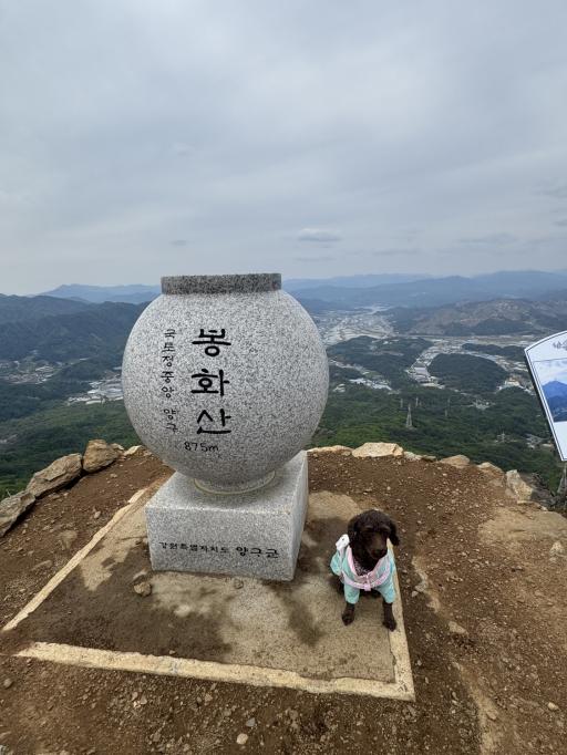 봉화산