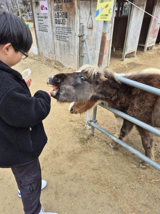 938. 용인곤충테마파크 곤충생태체험관