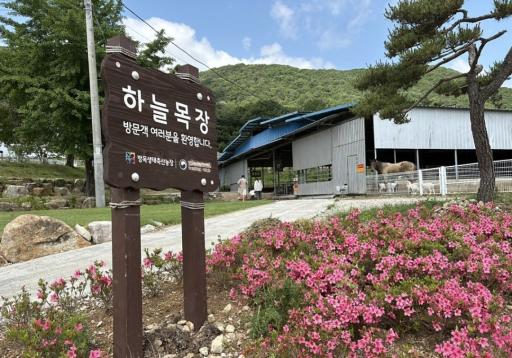 울산하늘목장