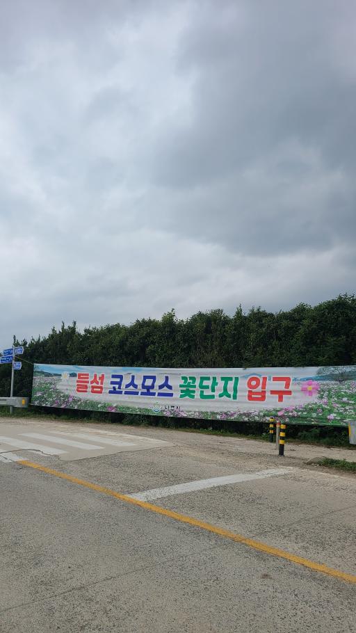 들섬꽃단지