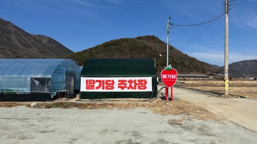 딸기당