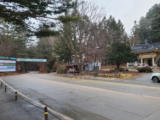 월정사전나무숲