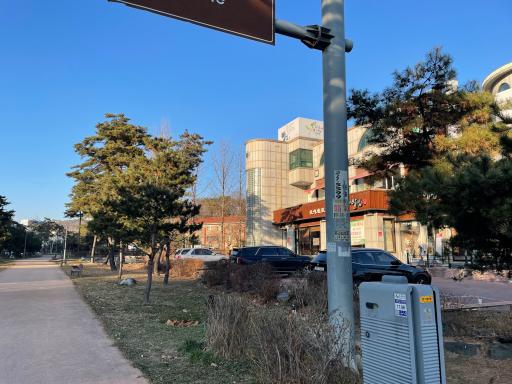 노송지대