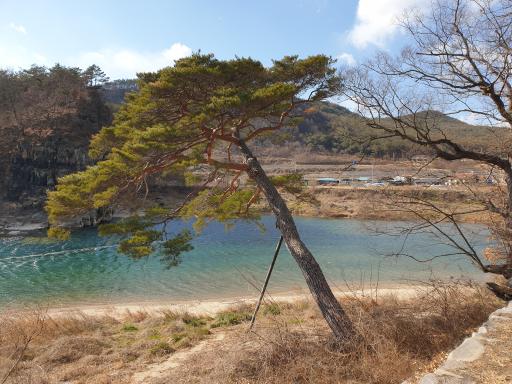 고산정