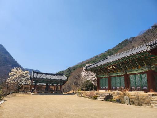 각연사석조비로자나불좌상