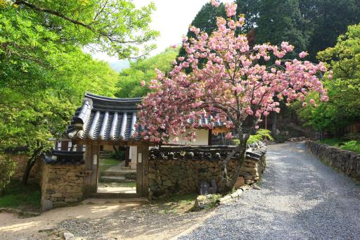 선암사 대웅전