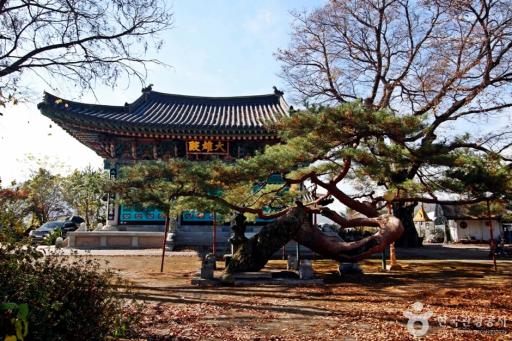 충주단호사삼층석탑