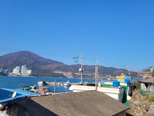 지세포성