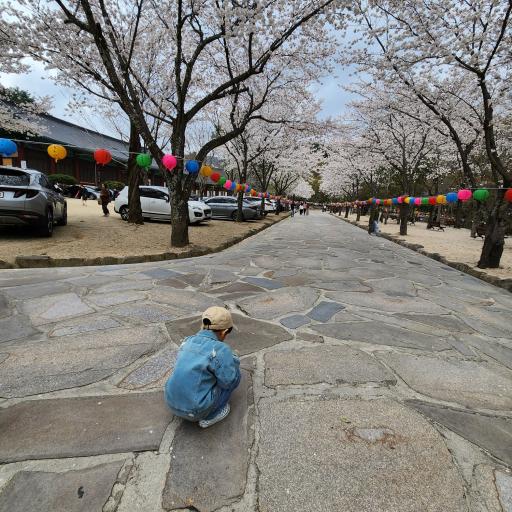 통도사대웅전및금강계단
