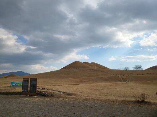 송학동고분군