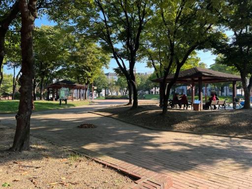 경산임당동고분군