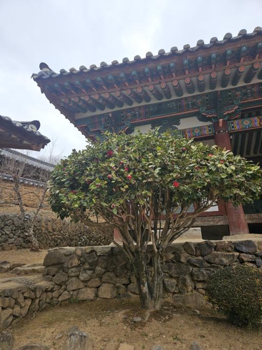 밀양교동손병순씨고가