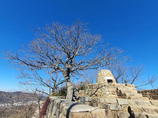 분산성