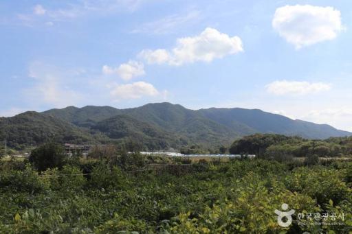 천안성거산위례성
