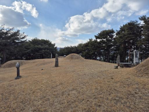 충암김정선생묘소