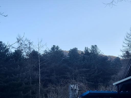 유명산계곡